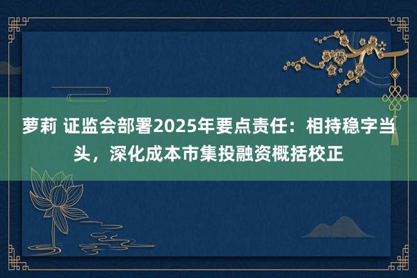 萝莉 证监会部署2025年要点责任：相持稳字当头，深化成本市集投融资概括校正