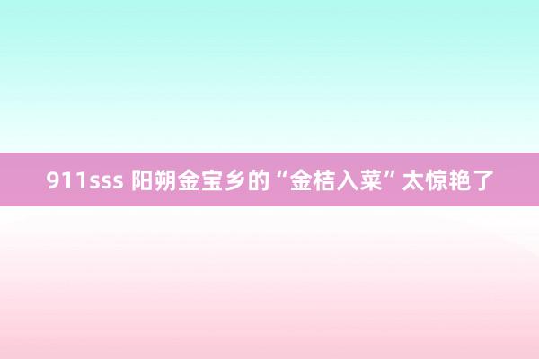 911sss 阳朔金宝乡的“金桔入菜”太惊艳了