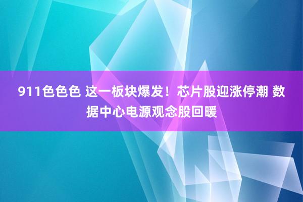 911色色色 这一板块爆发！芯片股迎涨停潮 数据中心电源观念股回暖