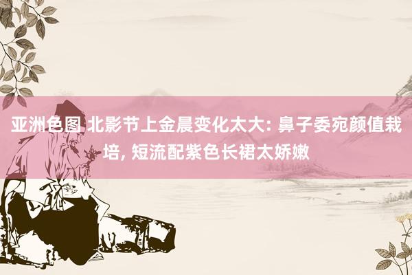 亚洲色图 北影节上金晨变化太大: 鼻子委宛颜值栽培, 短流配紫色长裙太娇嫩